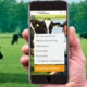 Geslaagde online campagne: Honderden melkveehouders gebruiken GrassN App